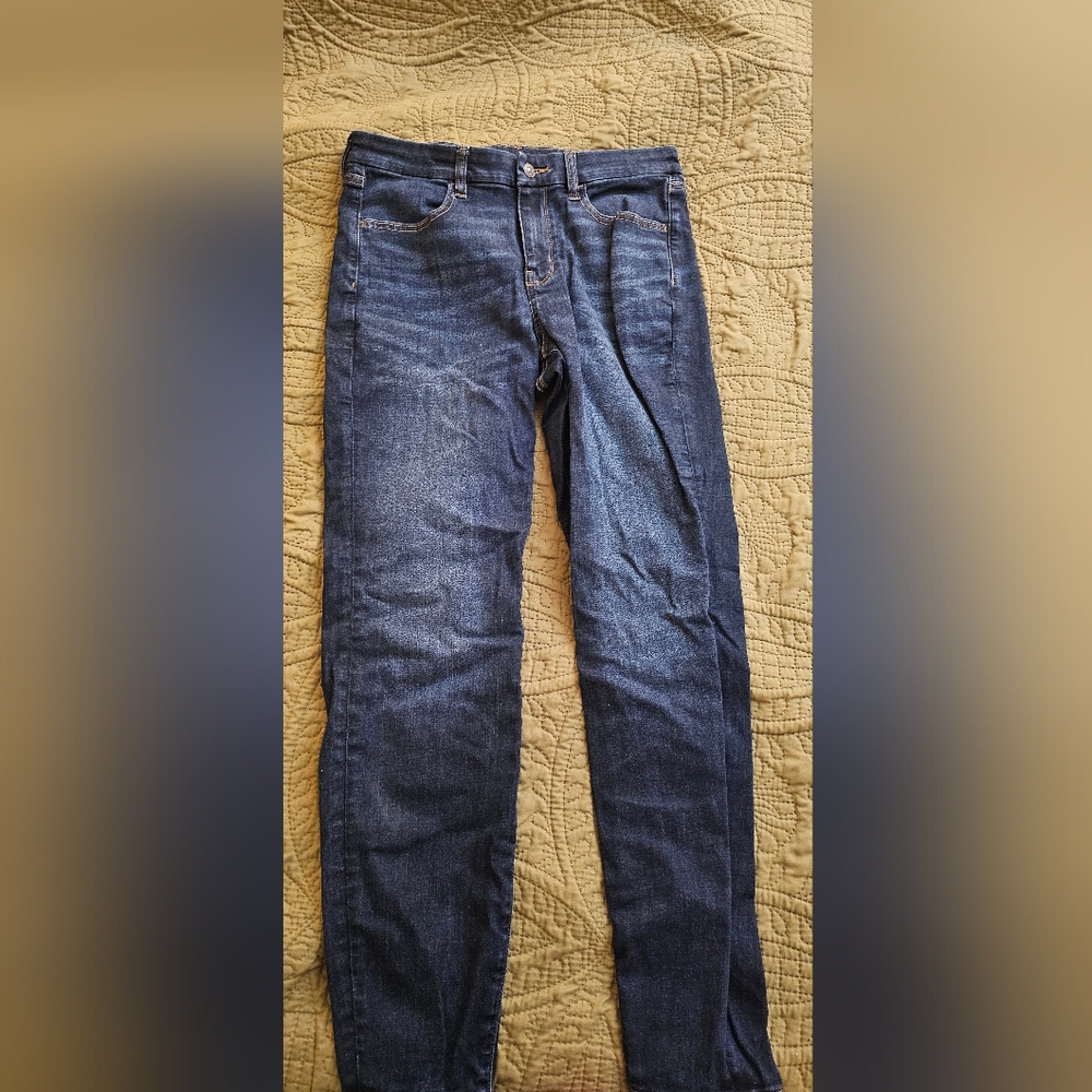 American Eagle Outfitters Blue Skinny Curvy Hi-Rise Jeans - Size 12 Regular